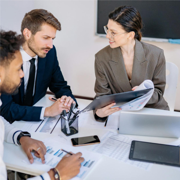 Professional IT advisory session